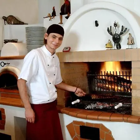 Hoellsteiner Hof Hotel Steinen (Lorrach)