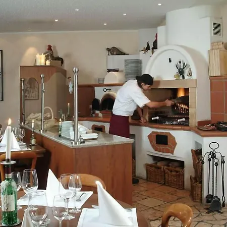 מלון Hoellsteiner Hof Steinen (Lorrach)