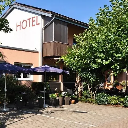 호텔 Hoellsteiner Hof 3*