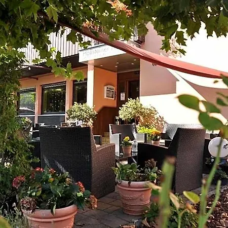 Hoellsteiner Hof 호텔 3*