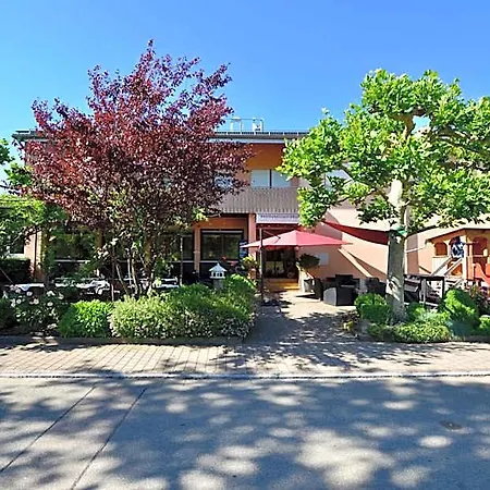 호텔 Hoellsteiner Hof 3*