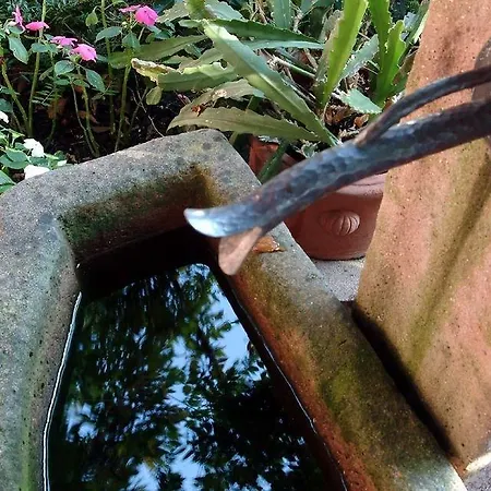 Hotel Hoellsteiner Hof Steinen (Lorrach)