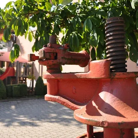 Höllsteiner Hof Hotel 3*