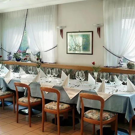 Hoellsteiner Hof 호텔 3*