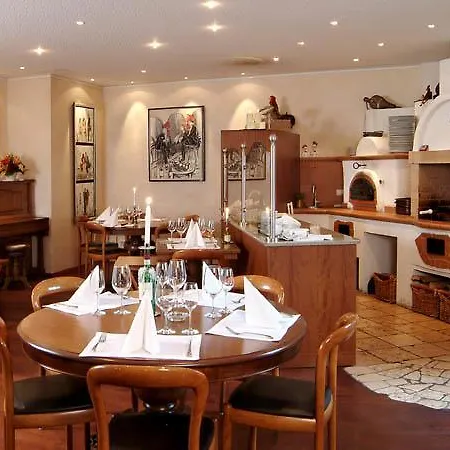 Hoellsteiner Hof Hotel Steinen (Lorrach)