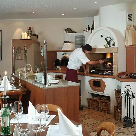 Hotel Hoellsteiner Hof Steinen (Lorrach)